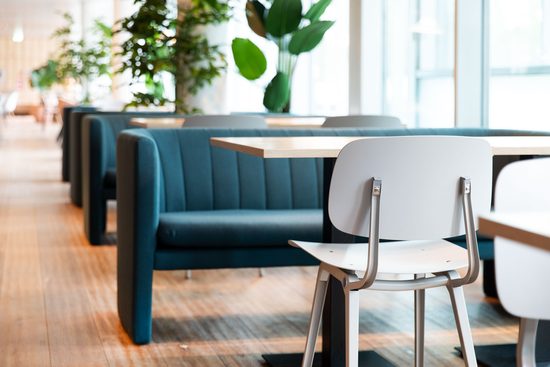 Renting gives you control of your costs