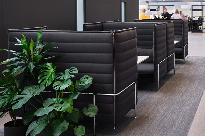Acoustic sofas