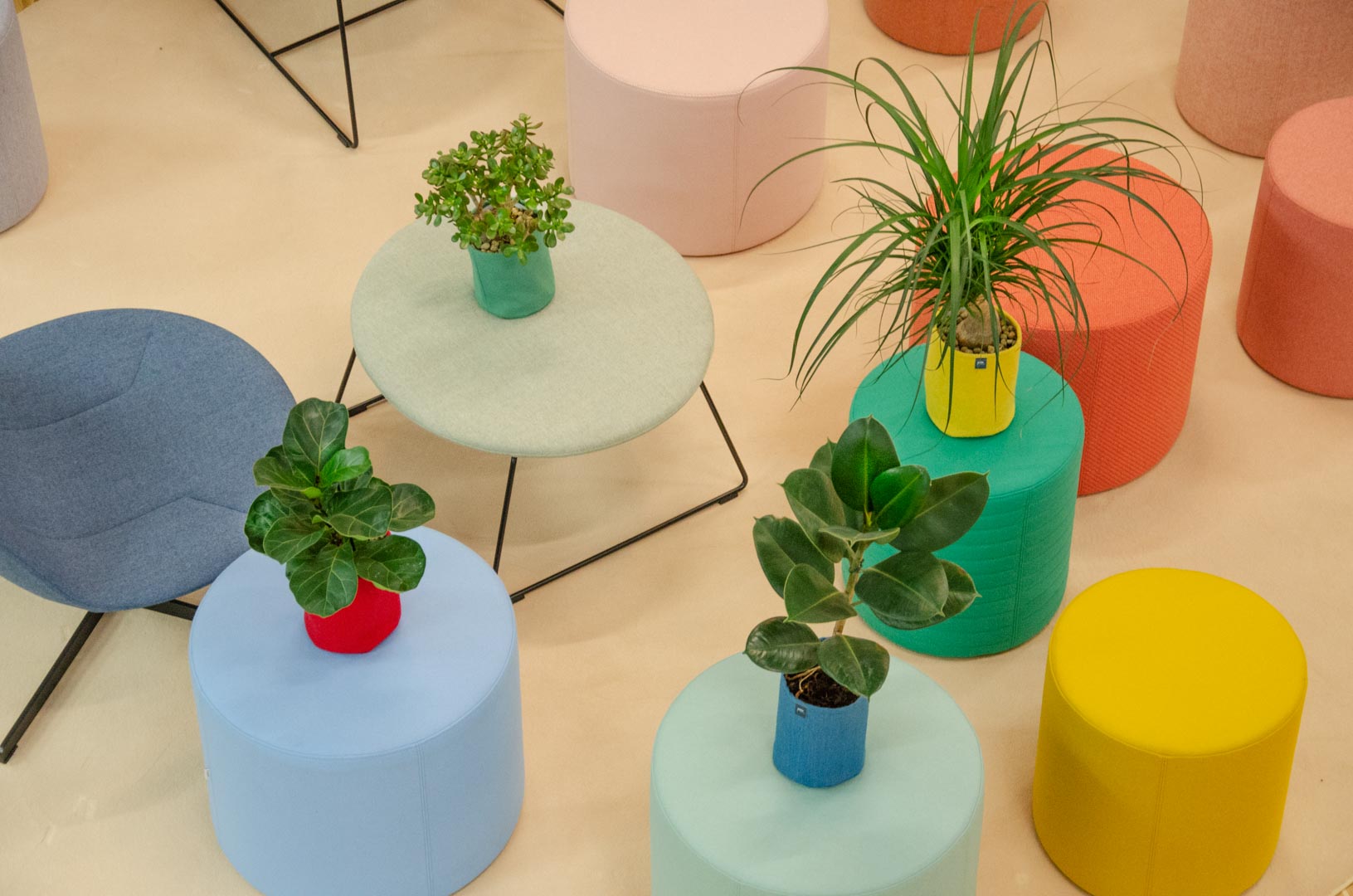 Une rentrée en VERT avec ‘Petite nature’