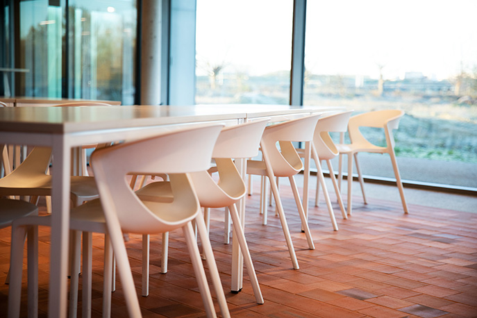 Canteen Chairs