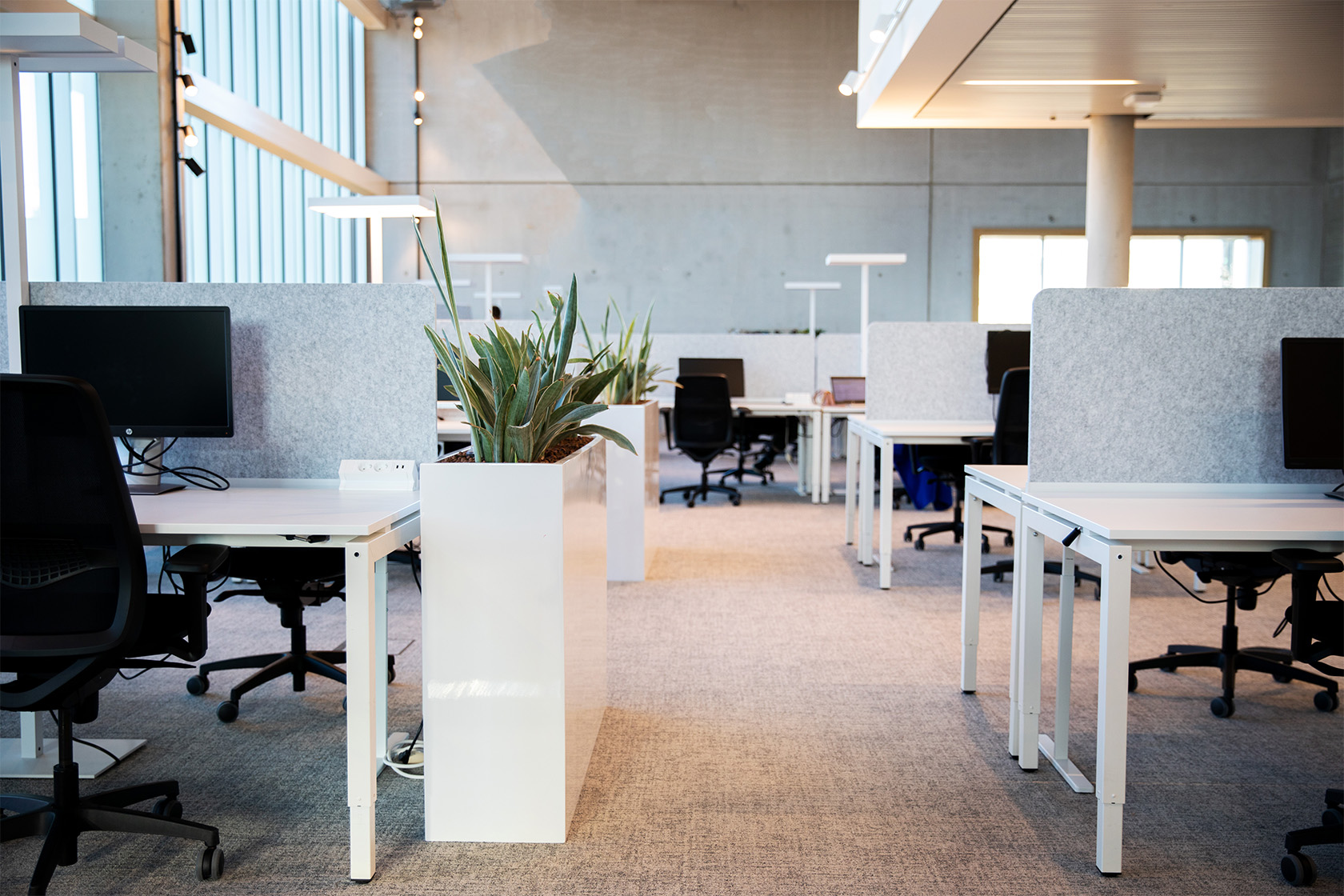 Office furniture rental